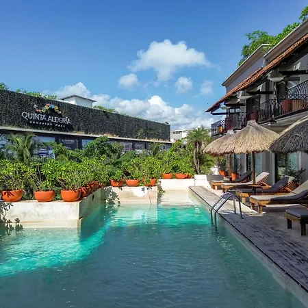 Caribbean Paradise Hotel & Spa - 5Th Avenue-3