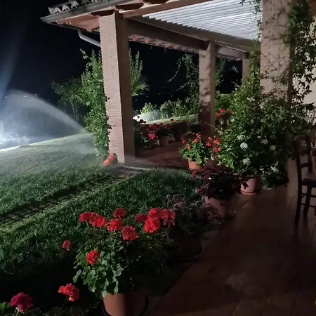 Agriturismo Tognoloni-3