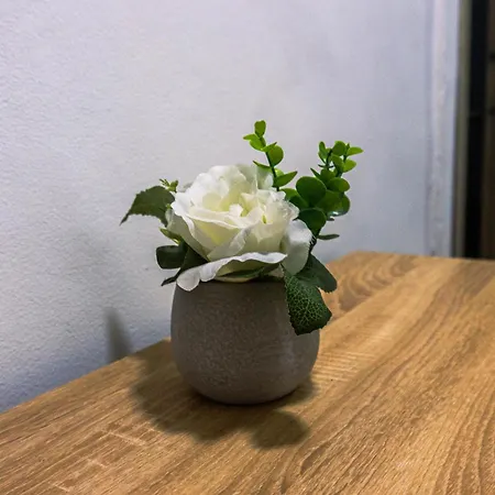 Coliving La Rebeca Pereira-2