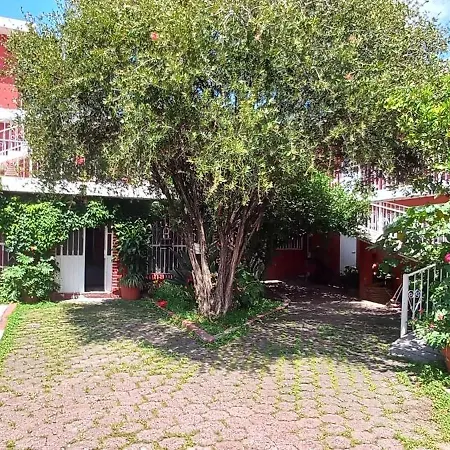 Casa Celia-3