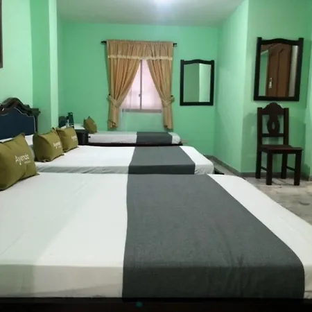 Hotel El Bosque-2