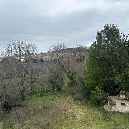 Hi Ostello Della Pace Assisi-3