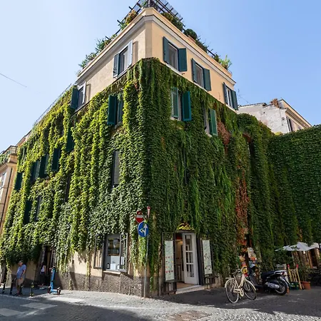 Domus 15 - Guest House-3