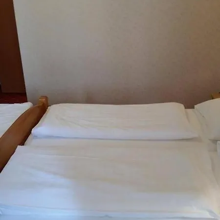 Hotel Pension Walzerstadt-3