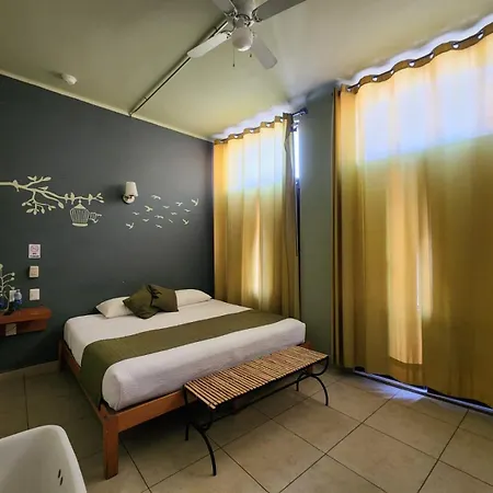 Hotel Plaza Queretaro-3