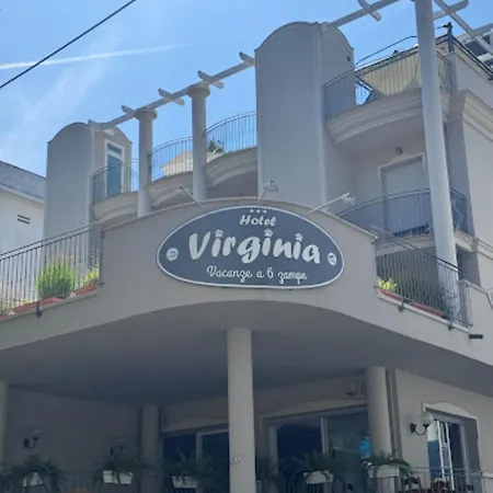 Pet Hotel Virginia - Hotel per cani-2