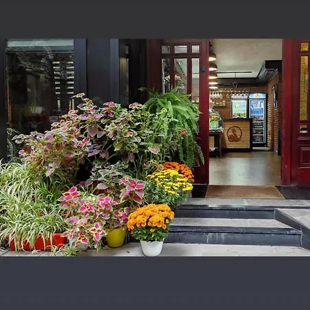 Hotel Livia-3