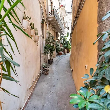 Qori Sicilian Stay-3