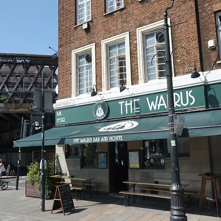The Walrus Bar And Hostel-3