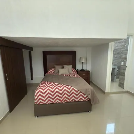 La casa de las palmeras-2