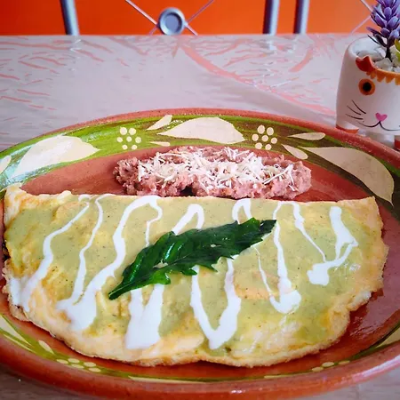 Palmas-3