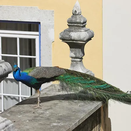 Solar do Castelo - Lisbon Heritage Collection - Alfama-3