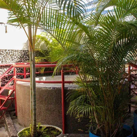 Villas y Suites Paraiso del Sur-3