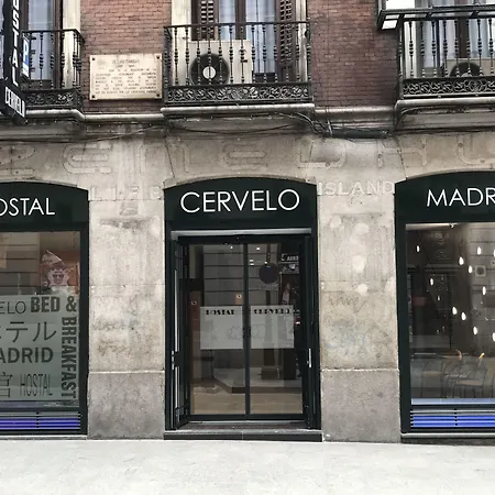Hostal Cervelo-2