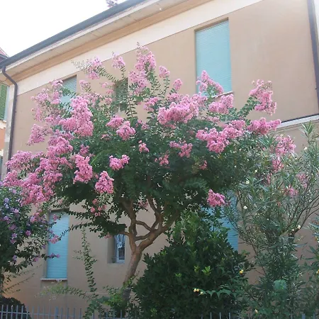 B&B Accorsi-3