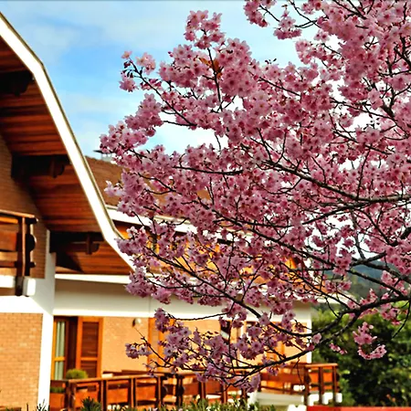 Hotel Matsubara-2