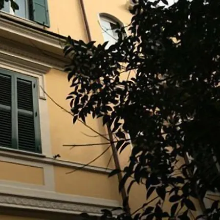 La Rotella Nel Sacco-2
