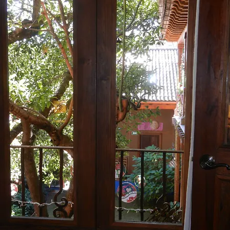 Posada Yolihuani-3
