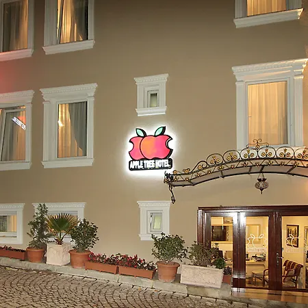 Apple Tree Hotel-2