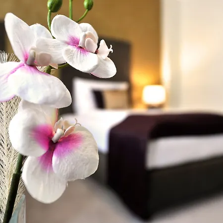 Aplend City Hotel Perugia-3