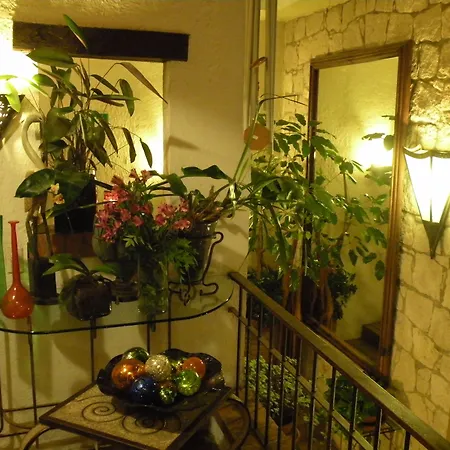 Casa Aurea Hotel Boutique-3