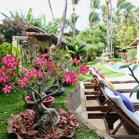 Pousada Oasis-3