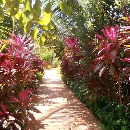 Domus Villas-2