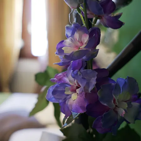 B&B Le Undici Lune-3