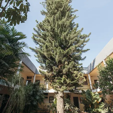 Hotel Allende Morelia-3