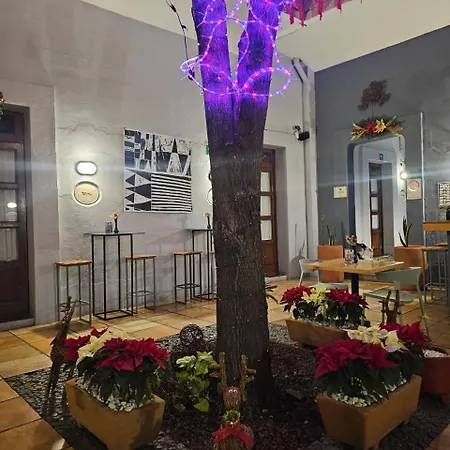BKL Hotel Oaxaca-2