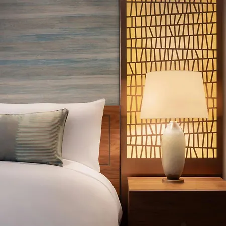 The Ritz-Carlton, Santiago-2