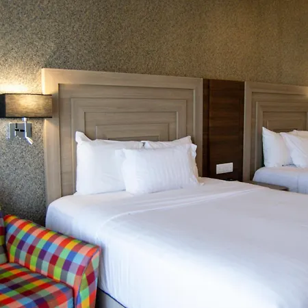 Hilton Garden Inn Leon Poliforum-3