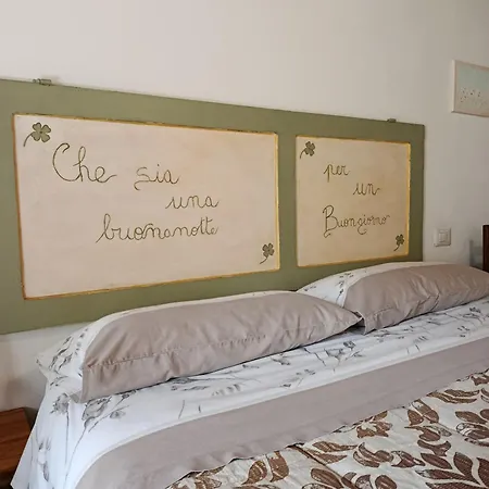 B&B Paradiso-3
