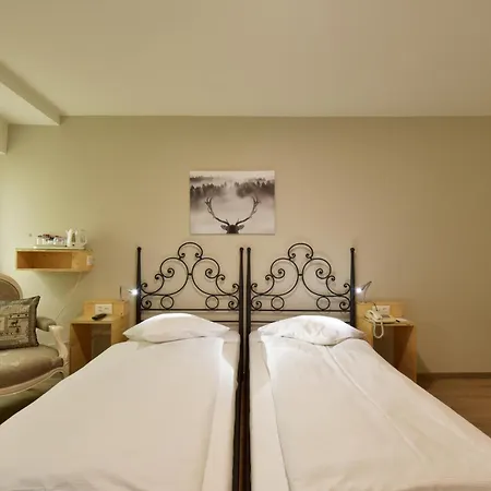 Hotel Hirschen-3
