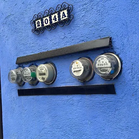 Casa Gecko-3
