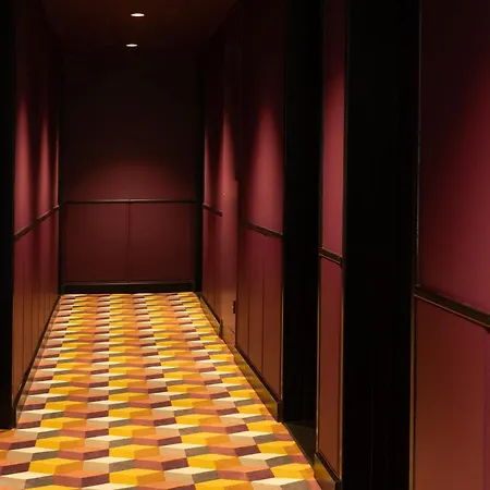 Hotel Diana Dauphine-3