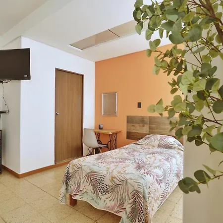 Hotel Galaxia-2