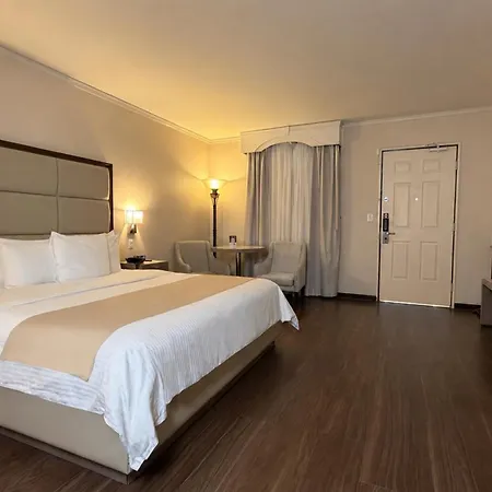 Safi Royal Luxury Centro-2