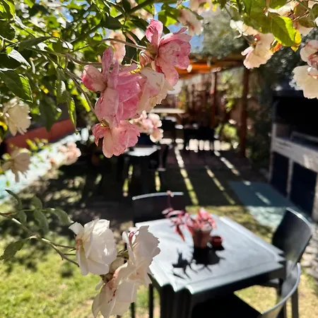 Hostal del Suri-2