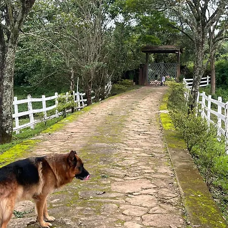 Fazenda Quinta da Esperança- Pousada e Lazer-3