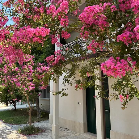 Il giardino di Silvia-2