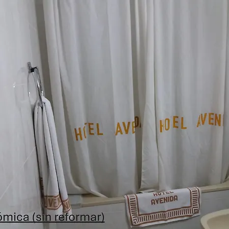 Hotel Avenida-2