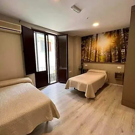 Hostal Viena Plaza Nueva-3
