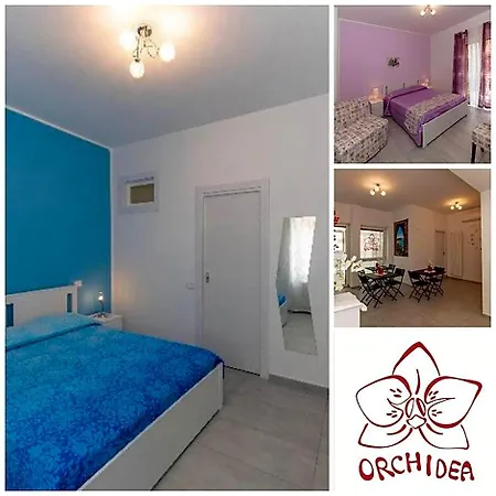 B&B Orchidea-3