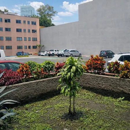 Hotel Conde Alameda CDMX-3
