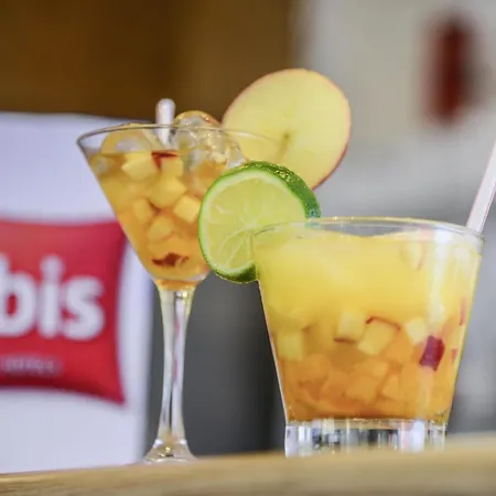 Ibis Uberaba-3