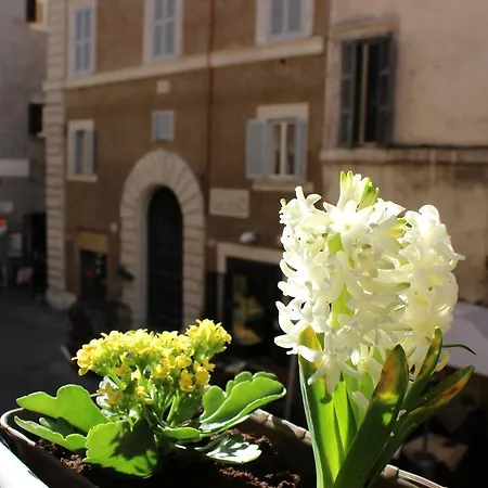 Hub Navona-2