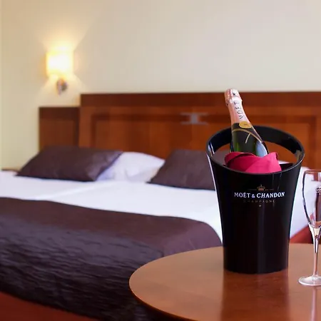 Luxury Family Hotel Bílá Labuť-2
