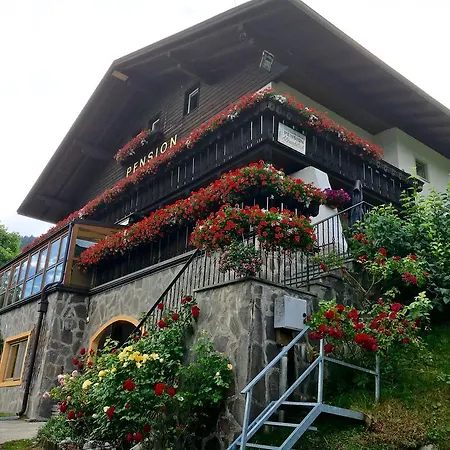 Alpenblick Bed & Breakfast-3