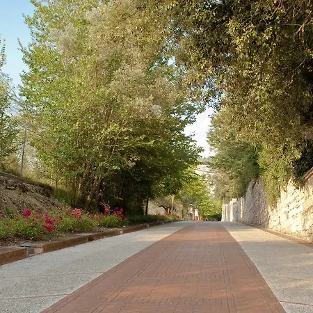 Assisi Garden-2
